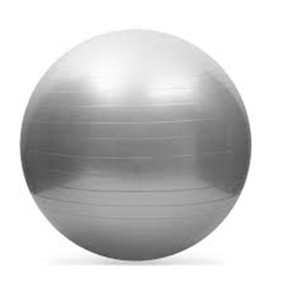 Therapy Balls (75cm) Plus Free Pump