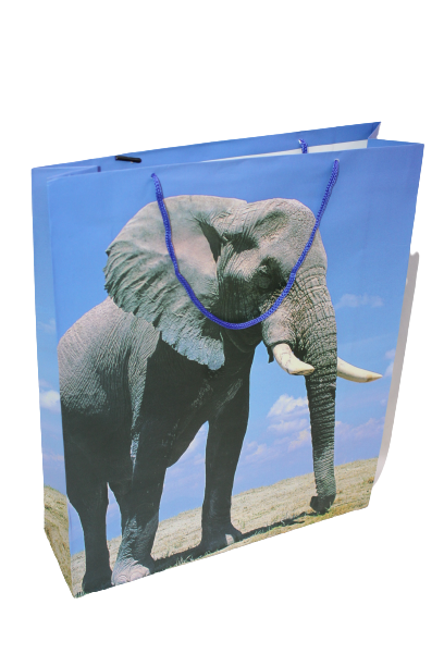 Gift Bags