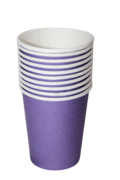 Disposable party cups (set of 10)