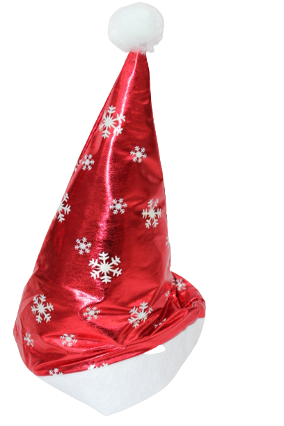 Christmas Santa Hats