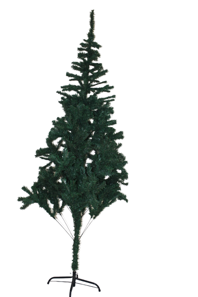 Cypress Christmas Tree(1.8metres)