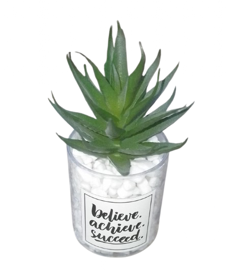 Artificial Cactus plant in a glass vase