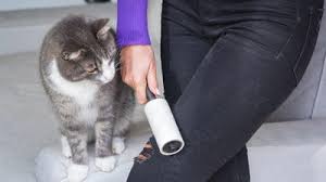Lint Rollers with 1 Handle and 3 Refills