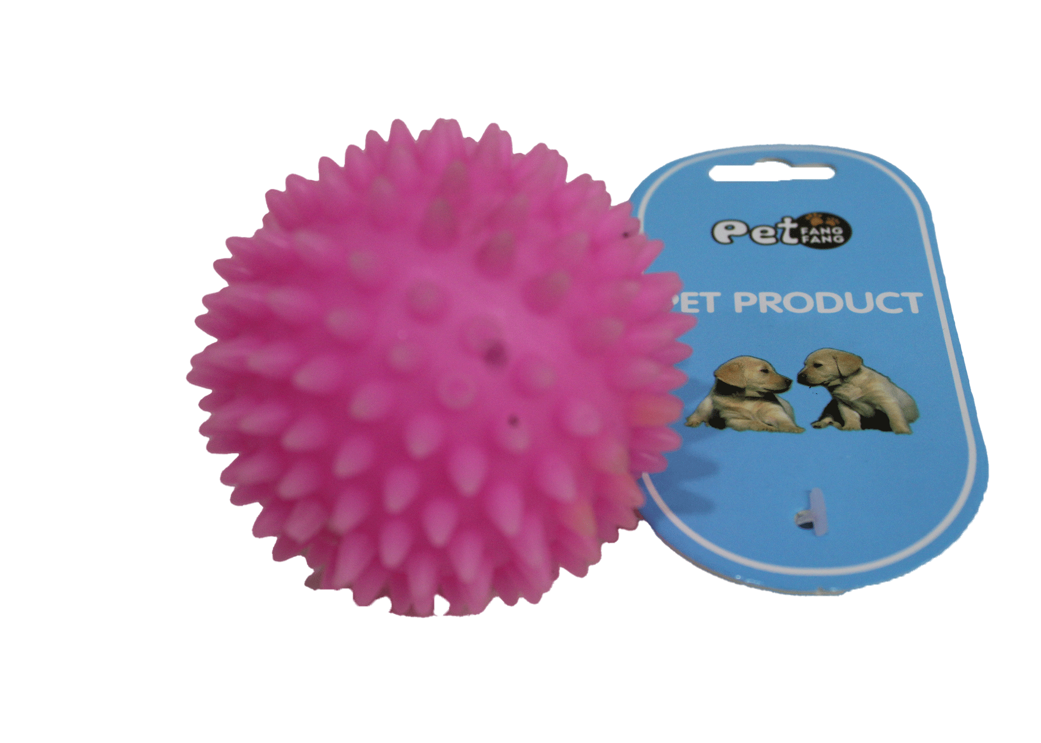 Pet Playing Toys
