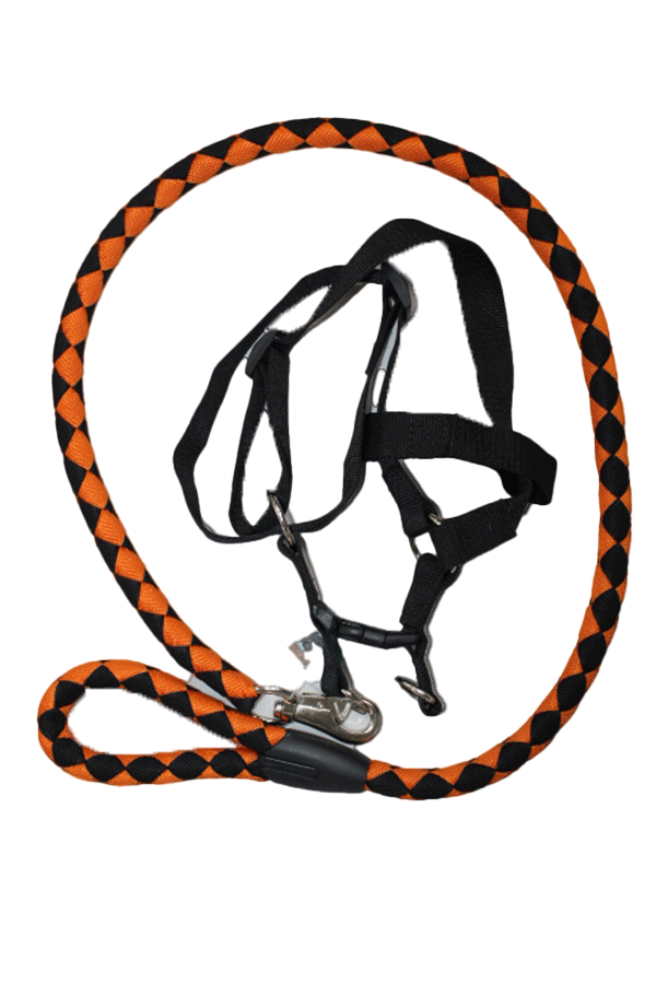 Dog Harness and collar sets