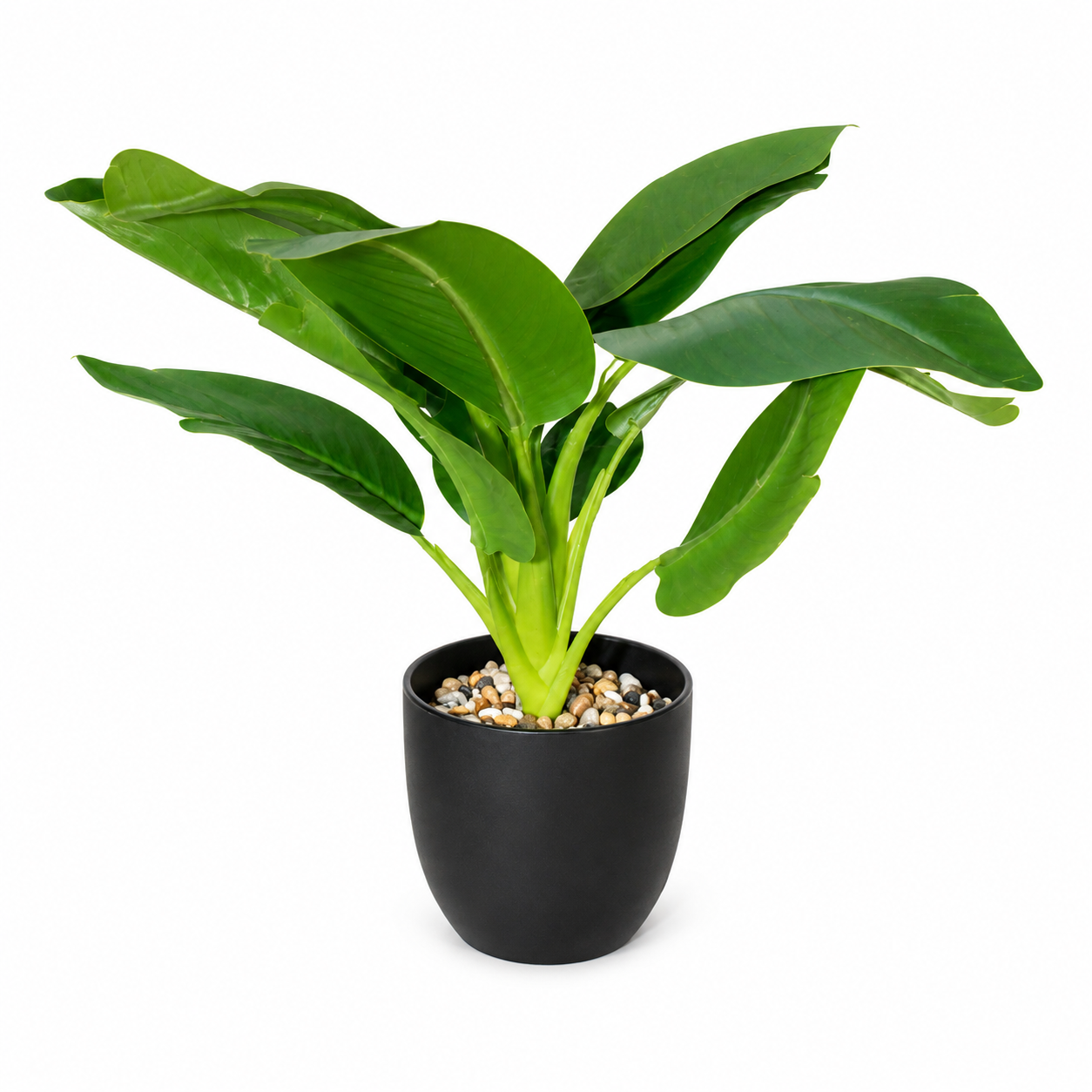 Artificial Flower In Black Pot