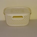 Storage Organizers with a lid