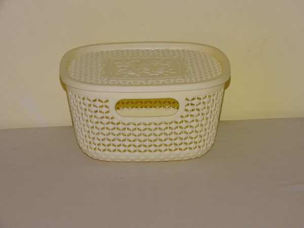Storage Organizers with a lid