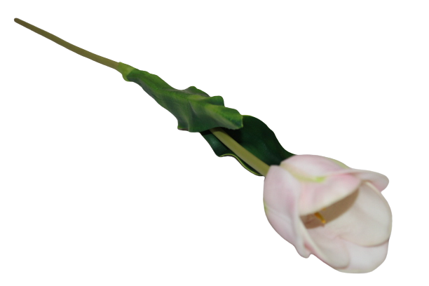 Tulip stem artificial flower