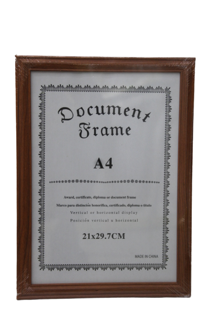 A4 Photo/Document Frame