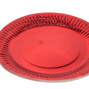 Disposable Party Plates (10PCS PER PACKET)