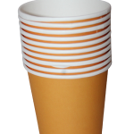Disposable party cups (set of 10)