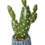 Artificial Cactus in a  ceramic vase