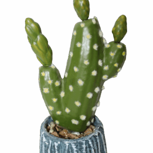 Artificial Cactus in a  ceramic vase