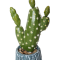 Cactus like Artificial flower in a  ceramic vase ( MONEY PLANT)