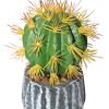 Cactus like Artificial flower in a  ceramic vase ( MONEY PLANT)
