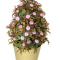 Artificial flower in a vase( MONEY PLANT)