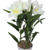 Artificial flowers in a vase( MONEY PLANT)
