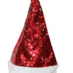 Christmas Santa Hats