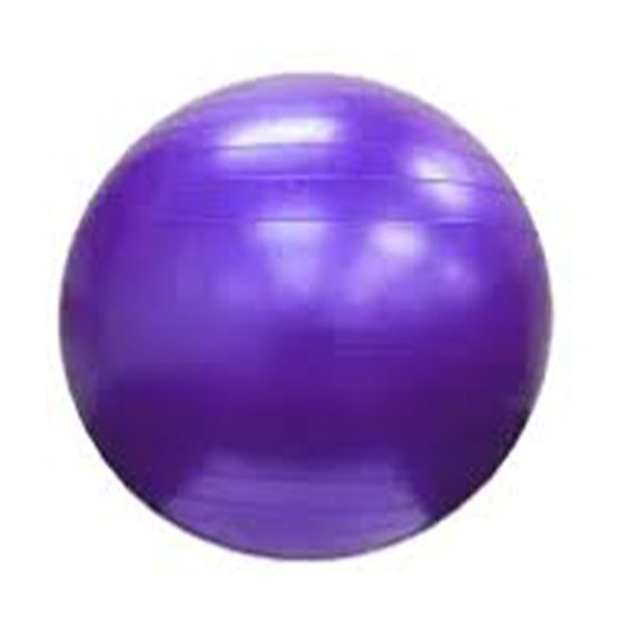Therapy Balls (75cm)