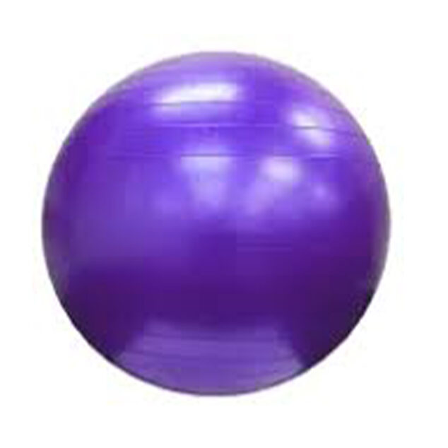 Therapy Balls (65 cm)