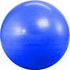 Therapy Balls (65 cm)