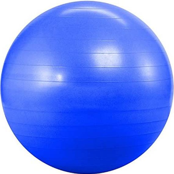 Therapy Balls (55cm)