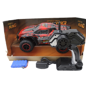 Remote control cars