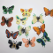 Butterfly Toys