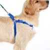 Dog Harness and collar sets