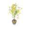 Artificial Flower Plant in a Vase
