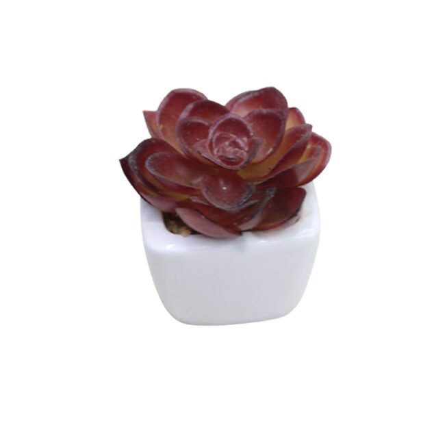 Small Artificial Succulents for Home, Bathroom & Office