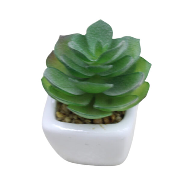 Small Artificial Succulents for Home, Bathroom & Office