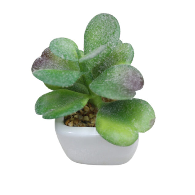 Small Artificial Succulents for Home, Bathroom & Office