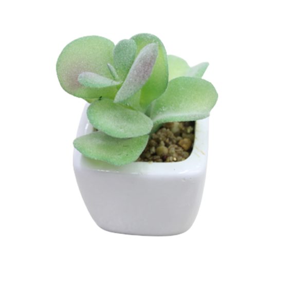 Small Artificial Succulents for Home, Bathroom & Office