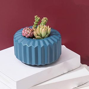 Succulents Plant Plastic Flowerpot