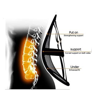 Lumbar Back Support