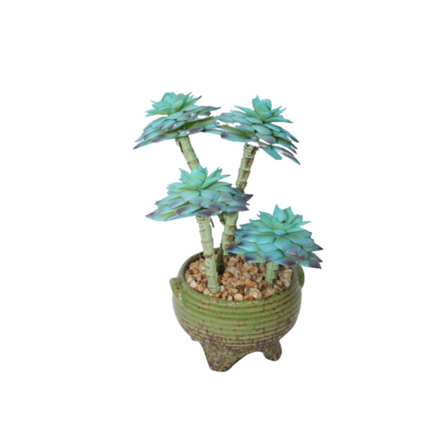 Artificial Succulent plants in a Ceramic Pot