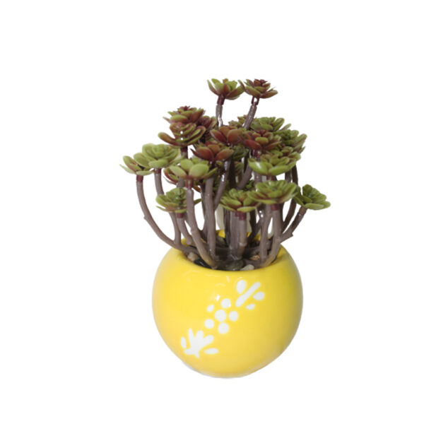 Artificial Succulent plant in a Ceramic Pot