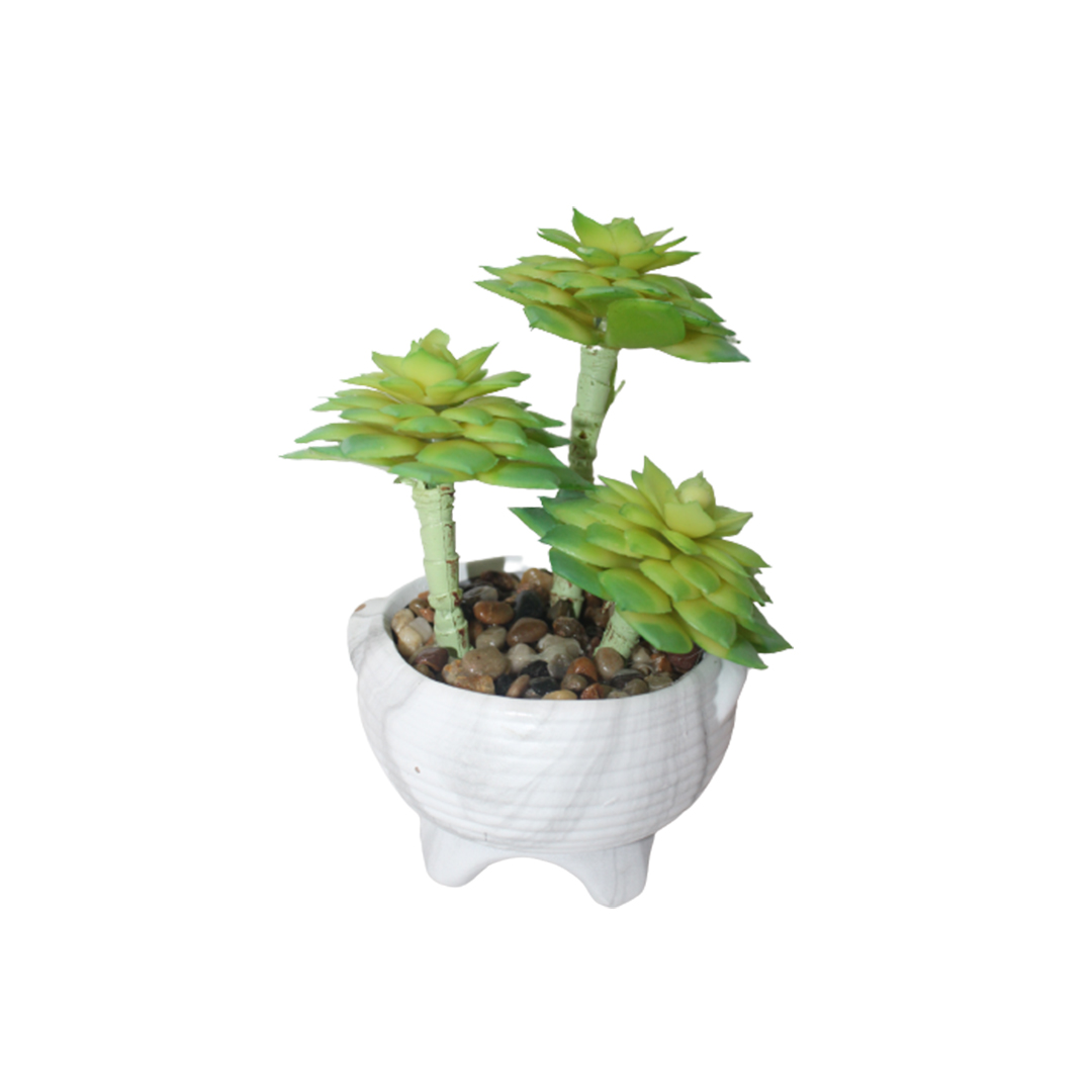 Artificial Succulent plants in a Ceramic Pot