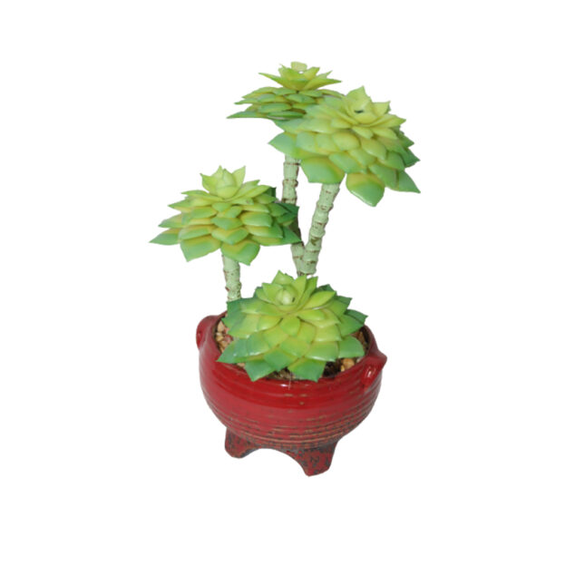 Artificial Succulent plants in a Ceramic Pot