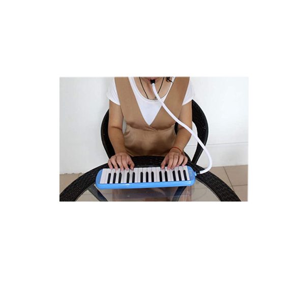 Melodica Musical Instrument