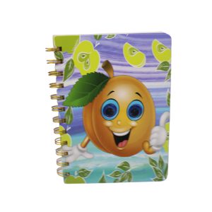 Googly Eyes Notebooks