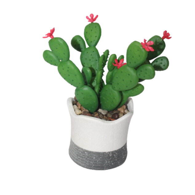 Artificial Succulent plant in a Ceramic Pot