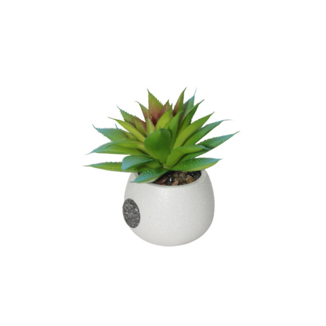 Artificial Succulent plant in a Ceramic Pot