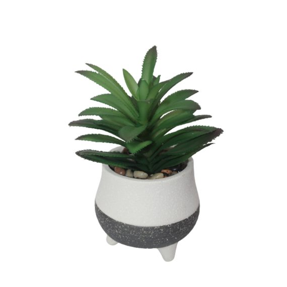 Artificial Succulent plant in a Ceramic Pot