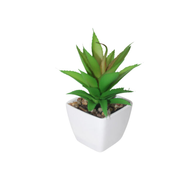 Artificial Succulent plant in a Pot