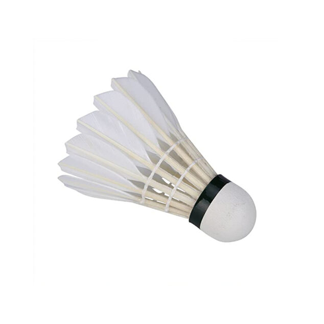 Badminton Shuttlecock Set (A Pack of 6 pcs)