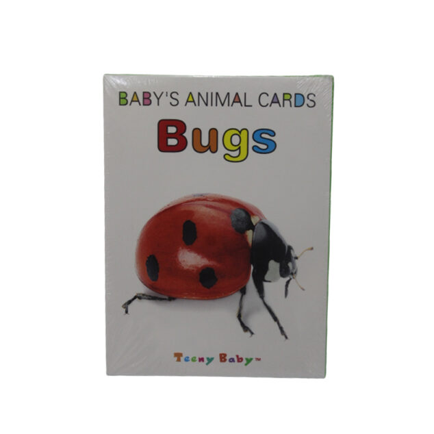 Kids Educational Flash Cards