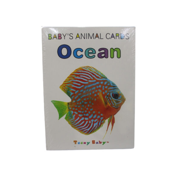 Kids Educational Flash Cards